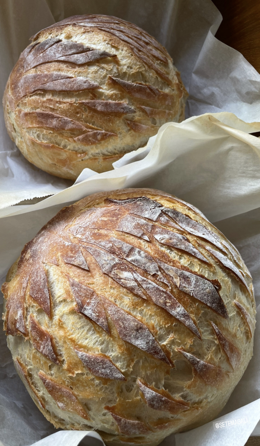 Sunshine Sourdough for a Year - Half Size