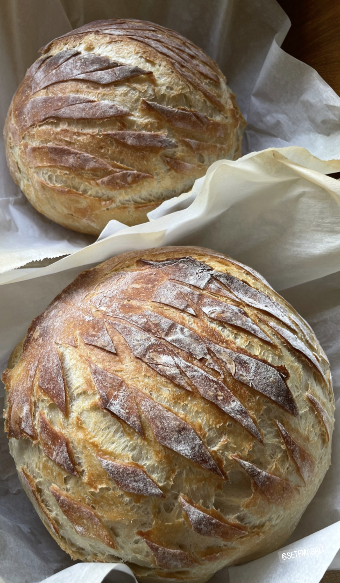 Sunshine Sourdough for a Year!!!